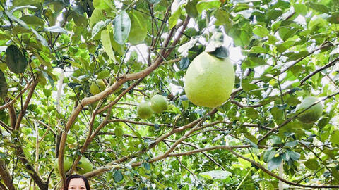 Nâng cao hiệu quả tín dụng chính sách xã hội