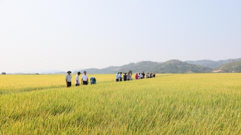 Khẳng định vị thế trụ cột nền kinh tế